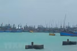 Exhortan en Vietnam a controlar y garantizar seguridad de barcos ante supertifón Goni