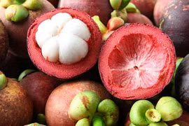 Fortalece Indonesia exportaciones de mangostán de Bali 