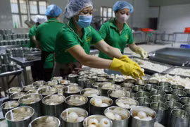 Aceleran cuarentena para frutas vietnamitas exportadas a EE.UU.