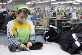 Prensa argelina destaca a Vietnam como ejemplo de desarrollo socioeconómico