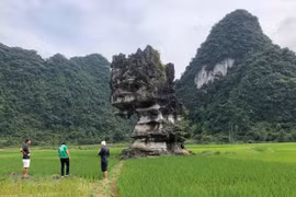 Aprecia UNESCO esfuerzos de Vietnam por preservar geoparque global Non Nuoc Cao Bang 