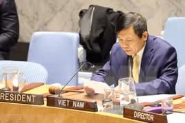 Vietnam saluda el progreso en la situación de seguridad en el noroeste de Siria