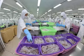 Provincias vietnamitas aumentan exportaciones pese al COVID-19 