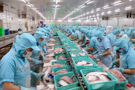 Exportaciones acuáticas de Vietnam disminuyen debido al COVID-19