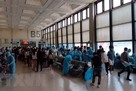 Regresan a casa más de 600 vietnamitas varados en Singapur y Malasia 