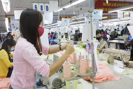 Hanoi se esmera en mejorar el ambiente de negocios