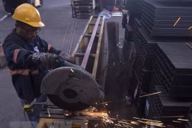 Indonesia considera retrasar proyecto de metalurgia debido al COVID-19