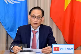 Vietnam contribuye activamente a trabajo general del Consejo de Seguridad de ONU