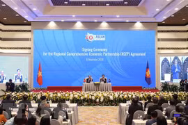 Acuerdo RCEP abre nuevas oportunidades para empresas rusas