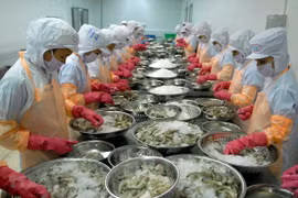 Provincia vietnamita de Ca Mau por recuperar producción y exportación de mariscos