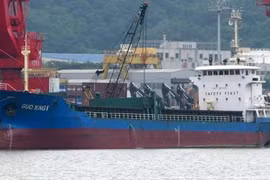Desaparecen cinco vietnamitas en naufragio de barco en Japón