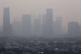 Registra Indonesia cientos de miles de muertos por contaminación