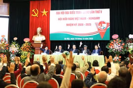 Convoca Asociación de Amistad Vietnam-Hungría V congreso