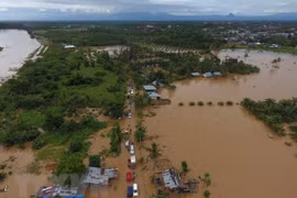 Reporta Indonesia al menos cinco muertos por inundaciones