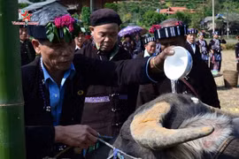 Rito dedicado al búfalo, tradición de la etnia Lu en Vietnam