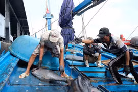Califican de esencial en Vietnam labor de preservación para desarrollo sostenible de recursos marinos