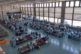 Retornan al país más de 340 vietnamitas varados en Taiwán (China)