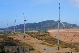 Vietnam y Suecia poseen potencialidades para cooperar en producción de energías limpias