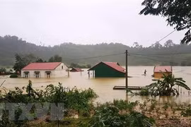 Al menos 84 muertos por inundaciones en el centro de Vietnam