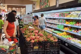 Empresa japonesa AEON promueve consumo de productos agropecuarios vietnamitas