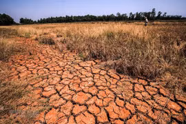 PNUD y Suecia apoyan a Camboya en respuesta al cambio climático 