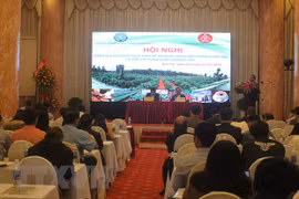 Desarrollan marca nacional de café vietnamita de alta calidad