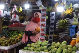 Indonesia registra su tasa de inflación más baja en las últimas dos décadas