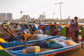Reducción del nivel hídrico en Camboya afecta a población de peces 