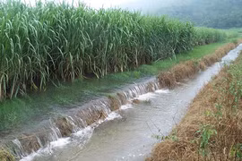 Vietnam y Taiwán (China) discuten métodos de descontaminación de suelos y aguas subterráneas
