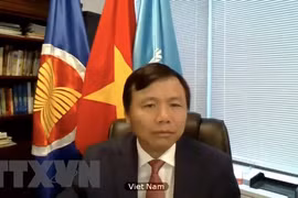 Vietnam muestra preocupaciones sobre situación en Yemen