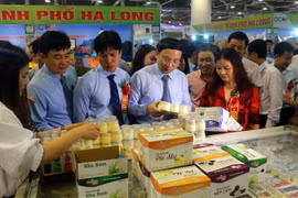 Feria en provincia vietnamita promueve el consumo de productos domésticos