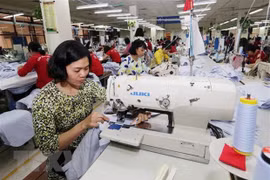 Indonesia ratifica protocolo sobre el reajuste del Acuerdo comercial de Mercancías de ASEAN