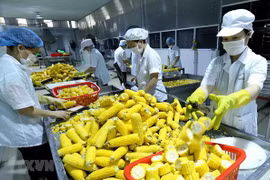 Vietnam y Países Bajos buscan impulsar el comercio de frutas y verduras