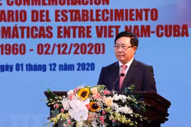 Nexos amistosos Vietnam-Cuba: historia gloriosa y mirada de esperanza hacia el futuro