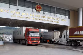 Vietnam reanuda comercio trasfronterizo con China