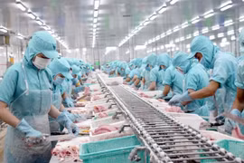 Producción y exportaciones vietnamitas de pescado Tra enfrentan desafíos