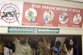 Estalla epidemia de dengue en Singapur