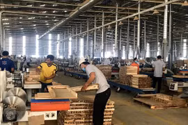 Exportación de productos agrosilvícolas y acuícolas de Vietnam alcanza más de siete mil millones de dólares de superávit