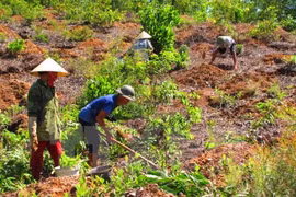 Promueven en Vietnam participación comunitaria en evaluación de impactos ambientales 