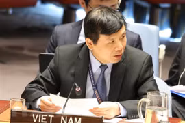 Patentiza Vietnam cooperación con la ONU en cambiar vida de niños afectados por conflictos