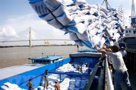 Vietnam gana contrato para exportar 60 mil toneladas de arroz a Filipinas