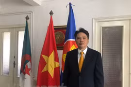 Vietnam y Argelia disponen de potencialidades de cooperación en comercio e inversión