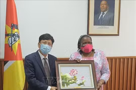 Mozambique destaca papel de Vietnam como presidente de la ASEAN