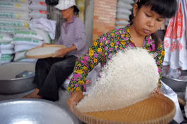 Ventas de arroz de Camboya registran fuerte aumento en primer cuatrimestre de 2020