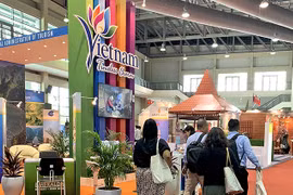 Turismo vietnamita listo para TRAVEX 2020 en Brunéi