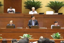 Prosigue Parlamento de Vietnam su IX período de sesiones 