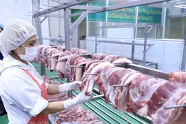 Arriban a Vietnam cerca de mil 500 toneladas de carne de cerdo de Rusia
