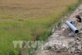 Unión Europea ayuda a vietnamitas afectados por sequía e intrusión salina