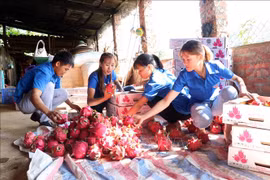 Apoyan acceso de empresas agropecuarias vietnamitas al mercado europeo