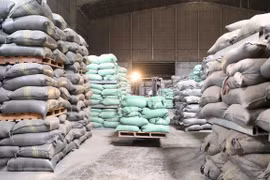 Mejoran calidad y competitividad del arroz de Vietnam